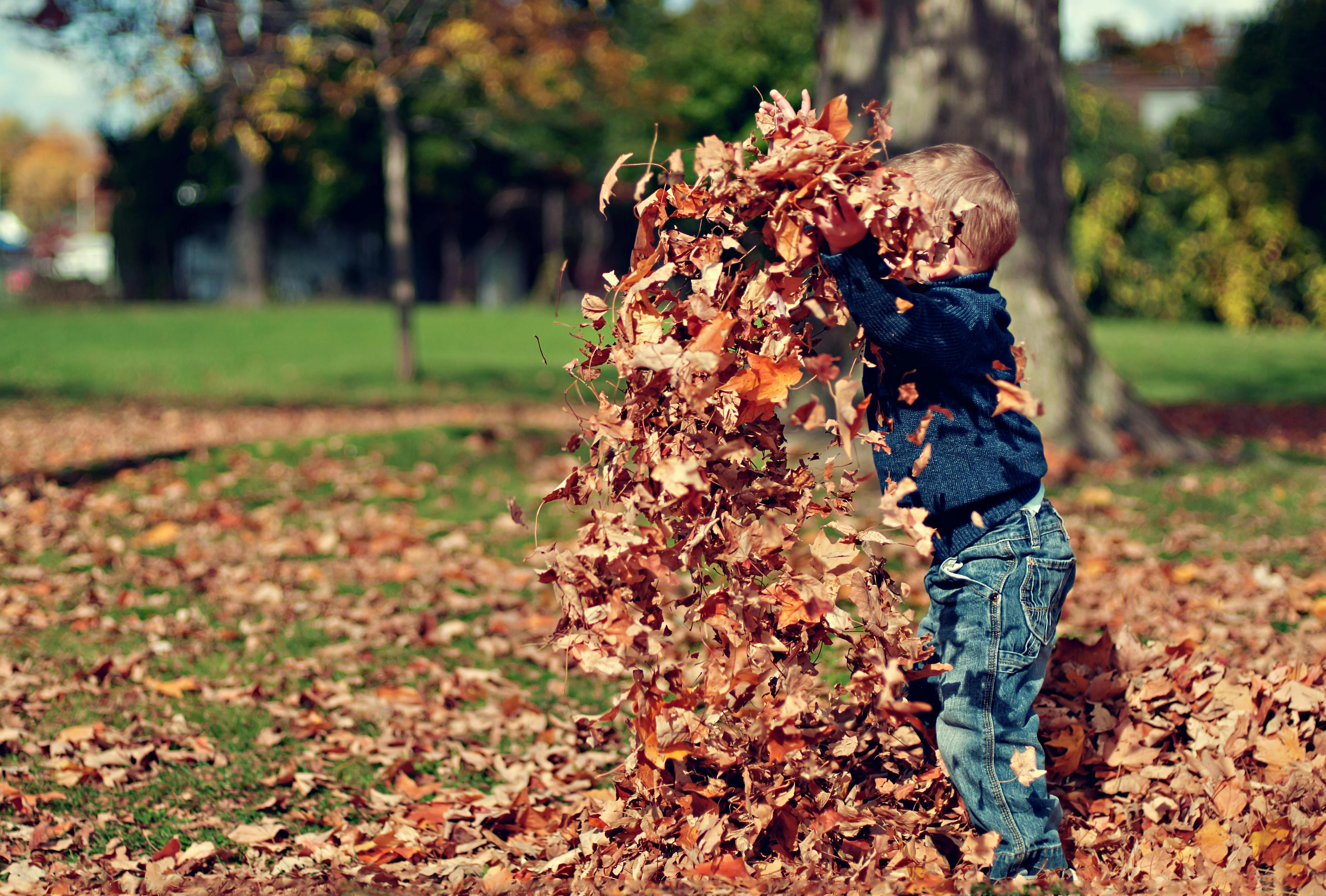 Creative Fall Homeschool Activities and Simple Unit Study Ideas