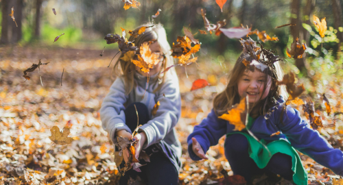 Fall and Thanksgiving Homeschool Activities