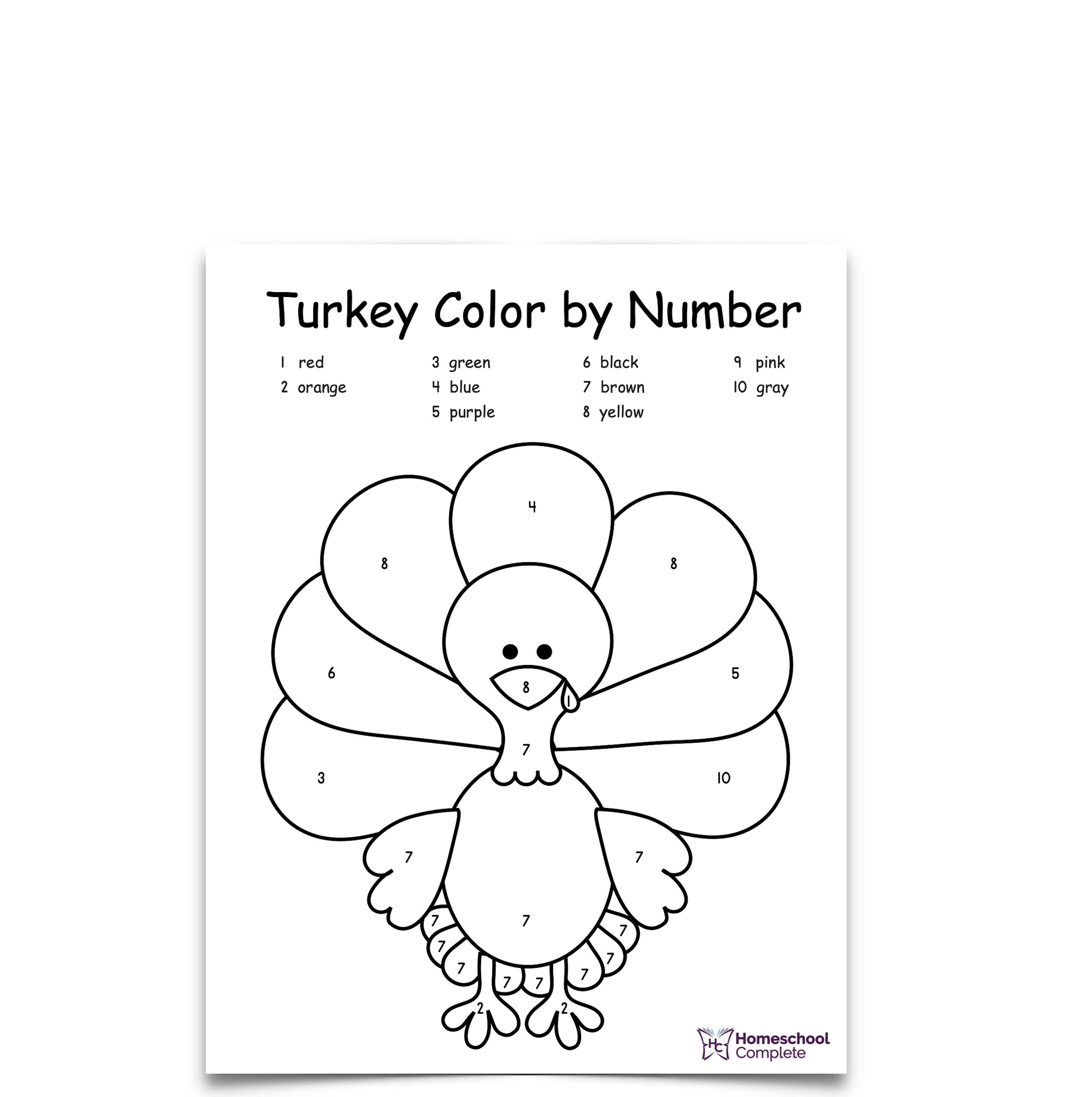 Turkey Color by Number