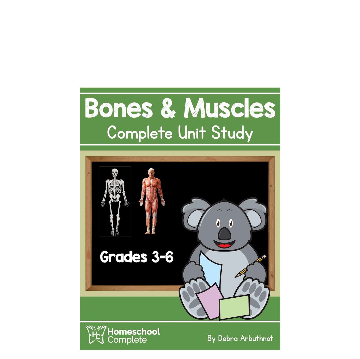 Bones and Muscles